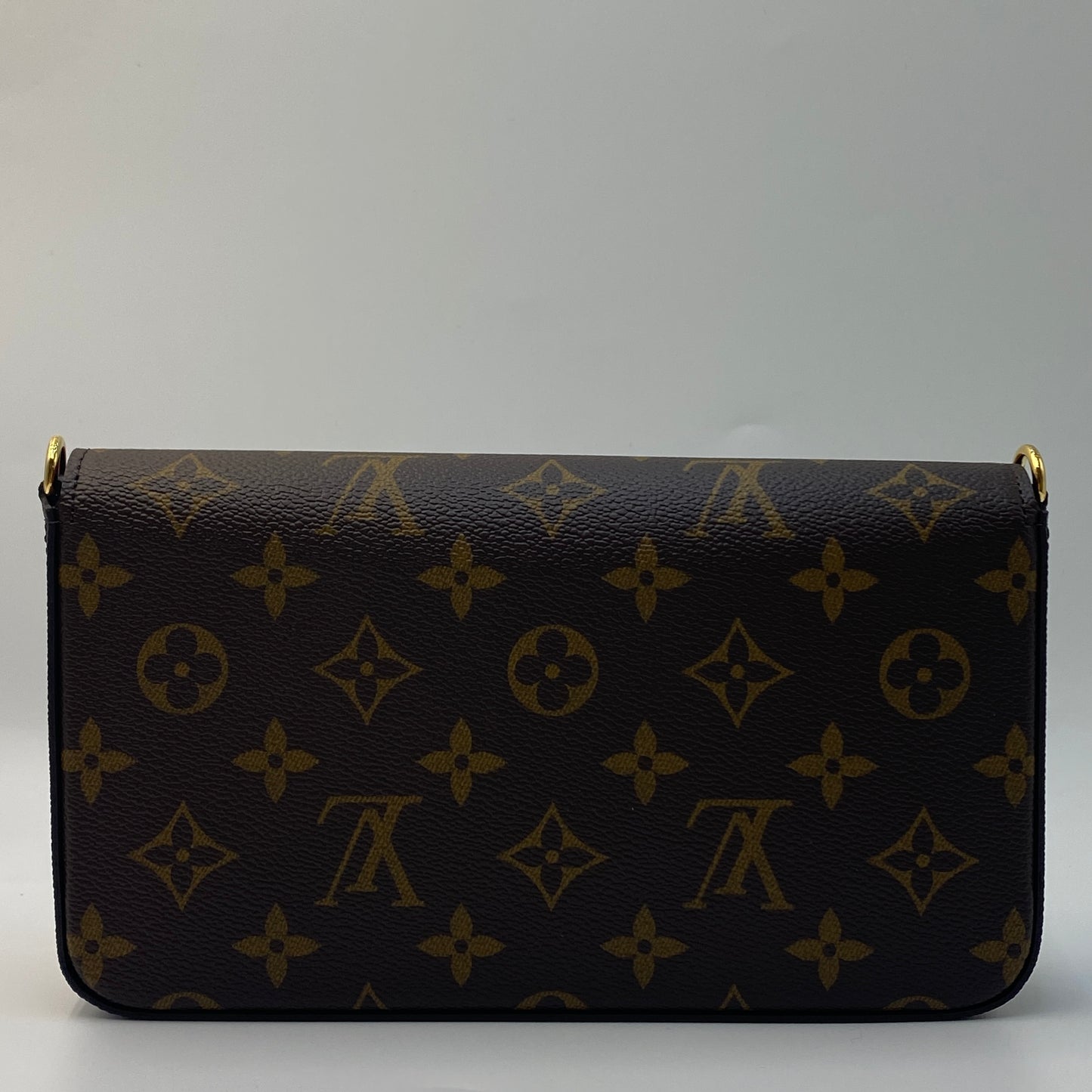 Louis Vuitton - Félicie Pochette - M81896