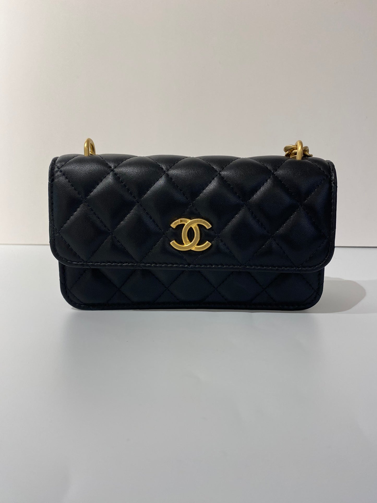 Chanel 23c phone bag camellia