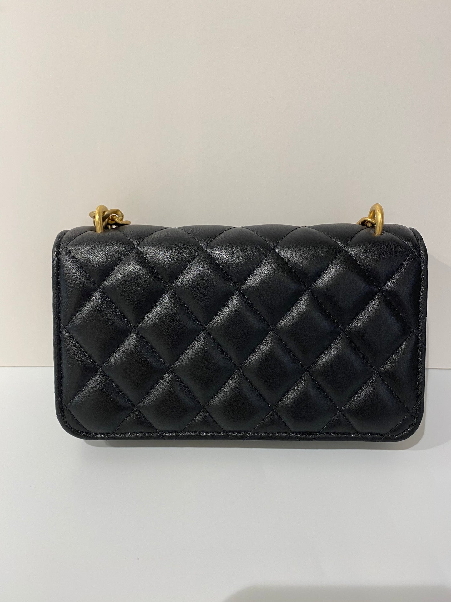 Chanel 23c phone bag camellia