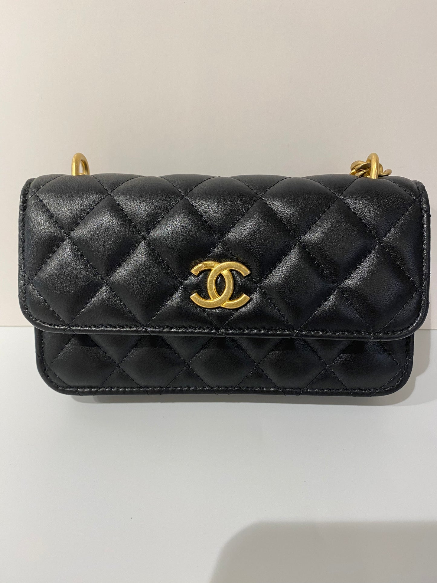Chanel 23c phone bag camellia